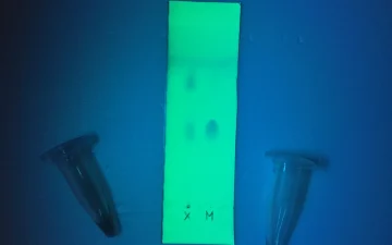 TLC drug test: what it measures and how to read it
