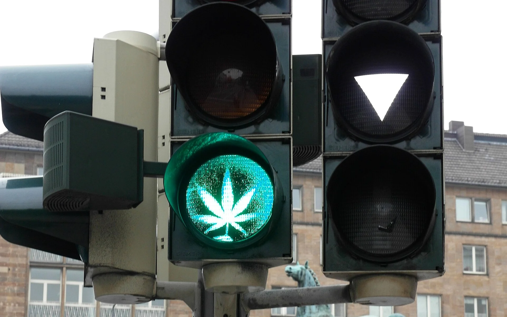 What is in cannabis and CBD products?