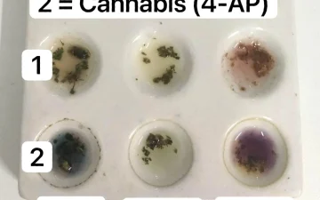 Which synthetic cannabinoids are on the market?