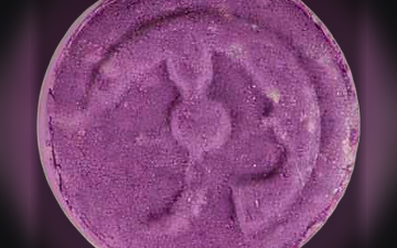 Piaggio pills (Ecstasy / MDMA)