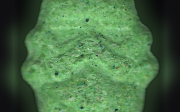 Stormtrooper pills (Ecstasy / MDMA)
