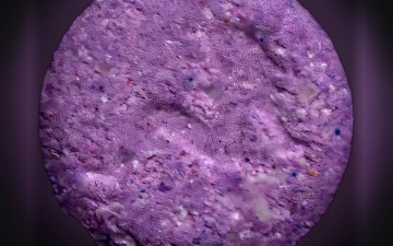 Playboy pills (Ecstasy / MDMA)