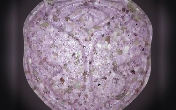 Tomorrowland pills (Ecstasy / MDMA)