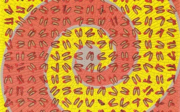 lsd-blotter-sheet
