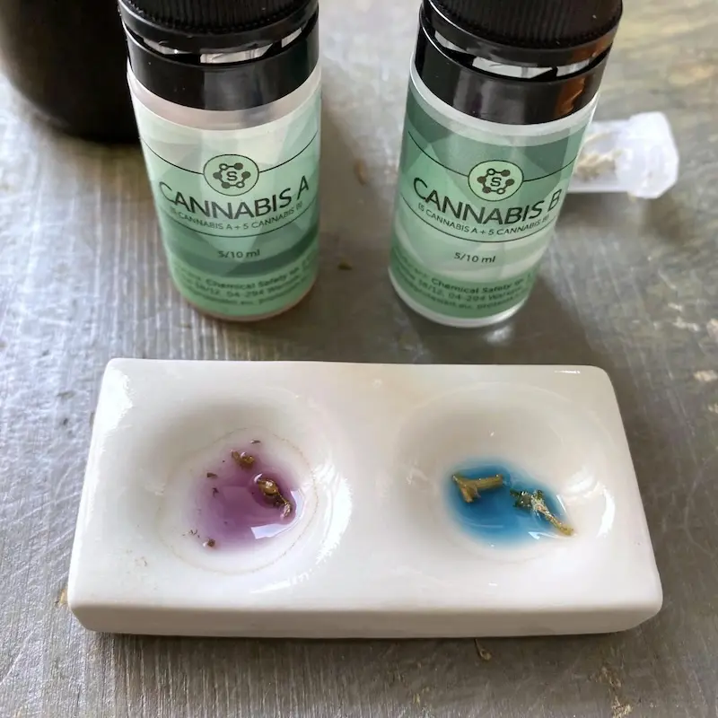 Two Cannabis reagent bottles marked A and B beside a white porcelain plate with two wells: the left one purple with plant fragments in it, the right one bright blue